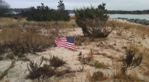 Flag on our Beach