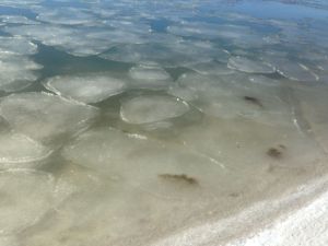 ice floats in 3 Mile Harbor